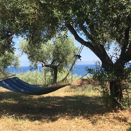 Woody By The Sea Find Peace In Nature * Loutra Elevtheron