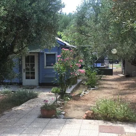 בית נופש Woody By The Sea Find Peace In Nature